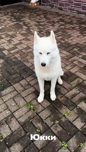 Продолжаем рубрику «Полезные команды»