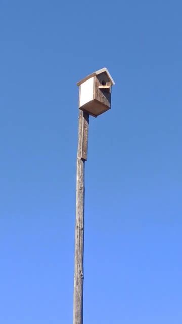 Доступное жильё!.mp4