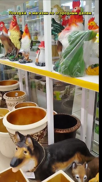 Поездка в магазин по огородным делам