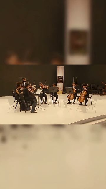 One Moment. One Sound #orchestra #music #shorts #classical #violin #cello #livemusic #sound