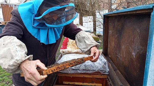 Запуск слабыша в двух маточный режим.