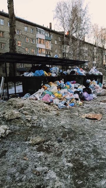 НЕ ВЫВОЗЯТ МУСОР,Россия,немилыйтомск,Сибирь.