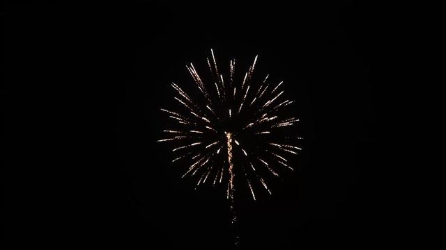 DS2513--2.5“ Silver Peony With Tail