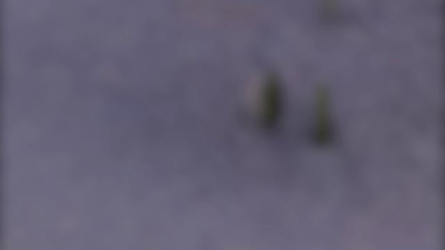 «Поём вместе: мелодии моего марта»