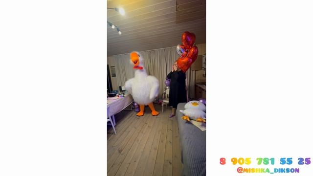 Гусь обнимусь 8 905 781 55 25