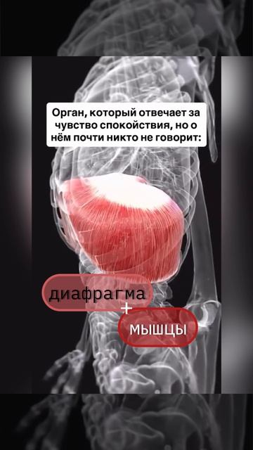 ДЫХАНИЕМ ИСТОЧНИК ВОЗМОЖНОСТЕЙ.  Просто будь с телом на связи.