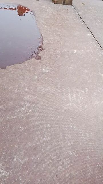 Cb3a0e83458b04879f1ae085877aa7c5