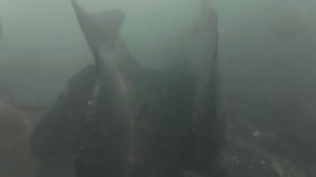 Cb4161610218b128c07f5a3609039fb9