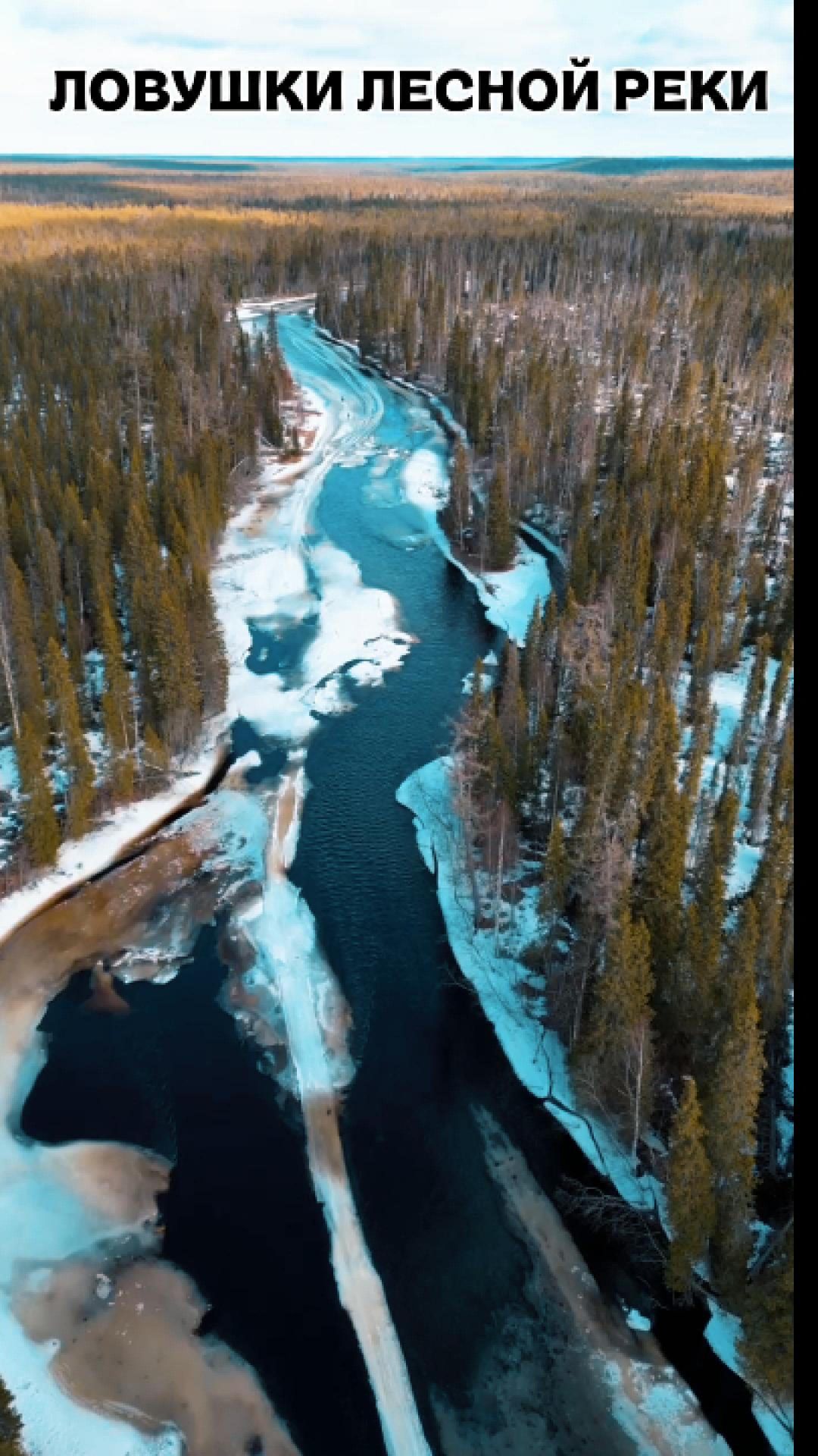 Ловушки лесной реки #природа #путешествие #леснаярека