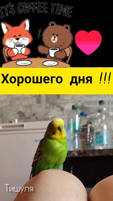 Дуй давай 🤣🤣🤣