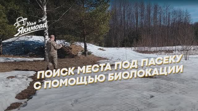 Биолокация подсказала место для пасеки
