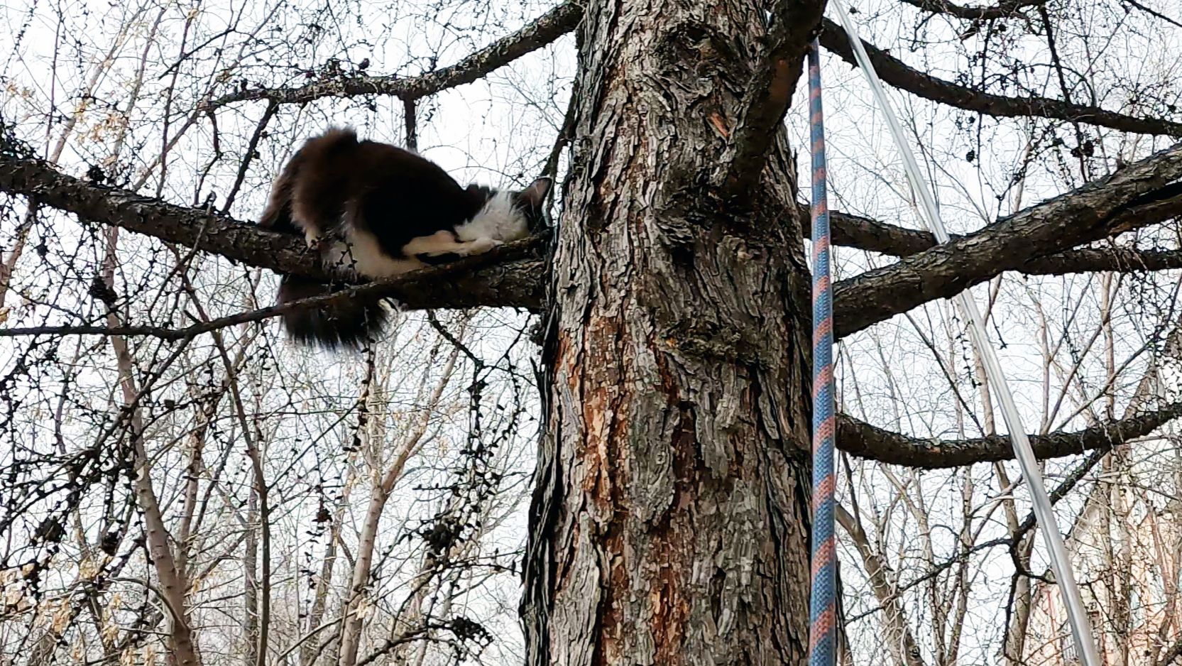 859f5bfcb89d87286c80d199fd7456c2