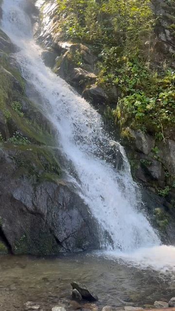 Это чувство перед летом… 😍 #республикаалтай #алтай