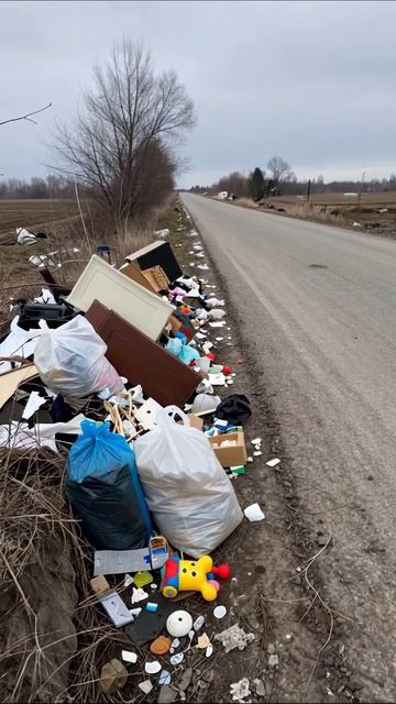 Печальная реальность: мусорная свалка на обочине дороги #экология #мусор #безнадёга