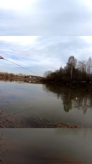 Скальд и скиппинг  #рыбалка #fishing #norstream