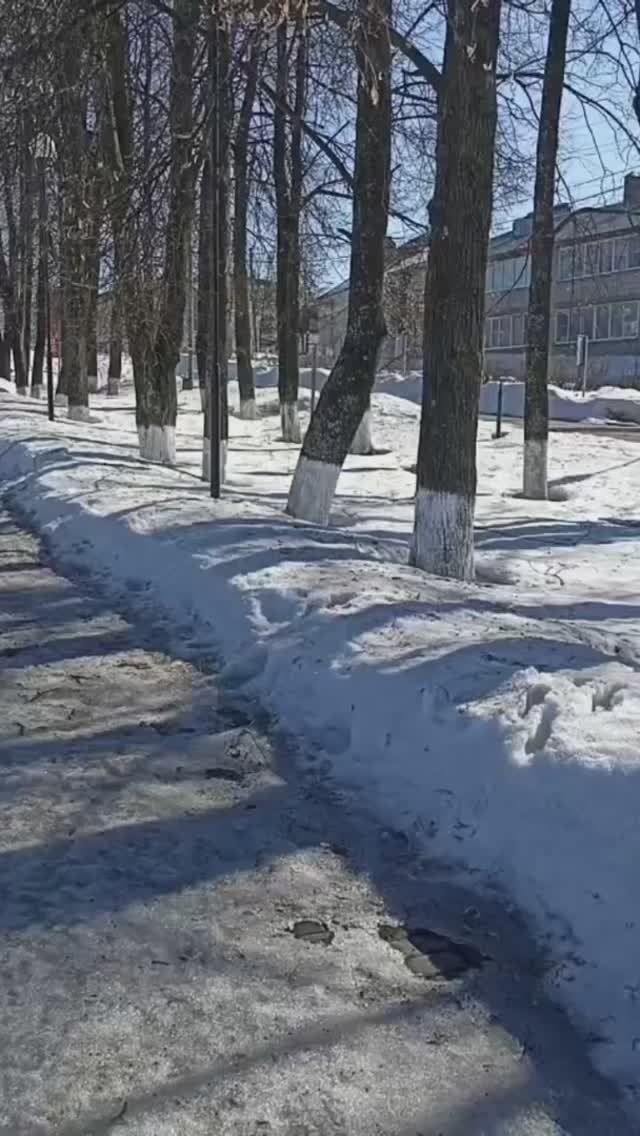 Парк и набережная р.Пижмы.
