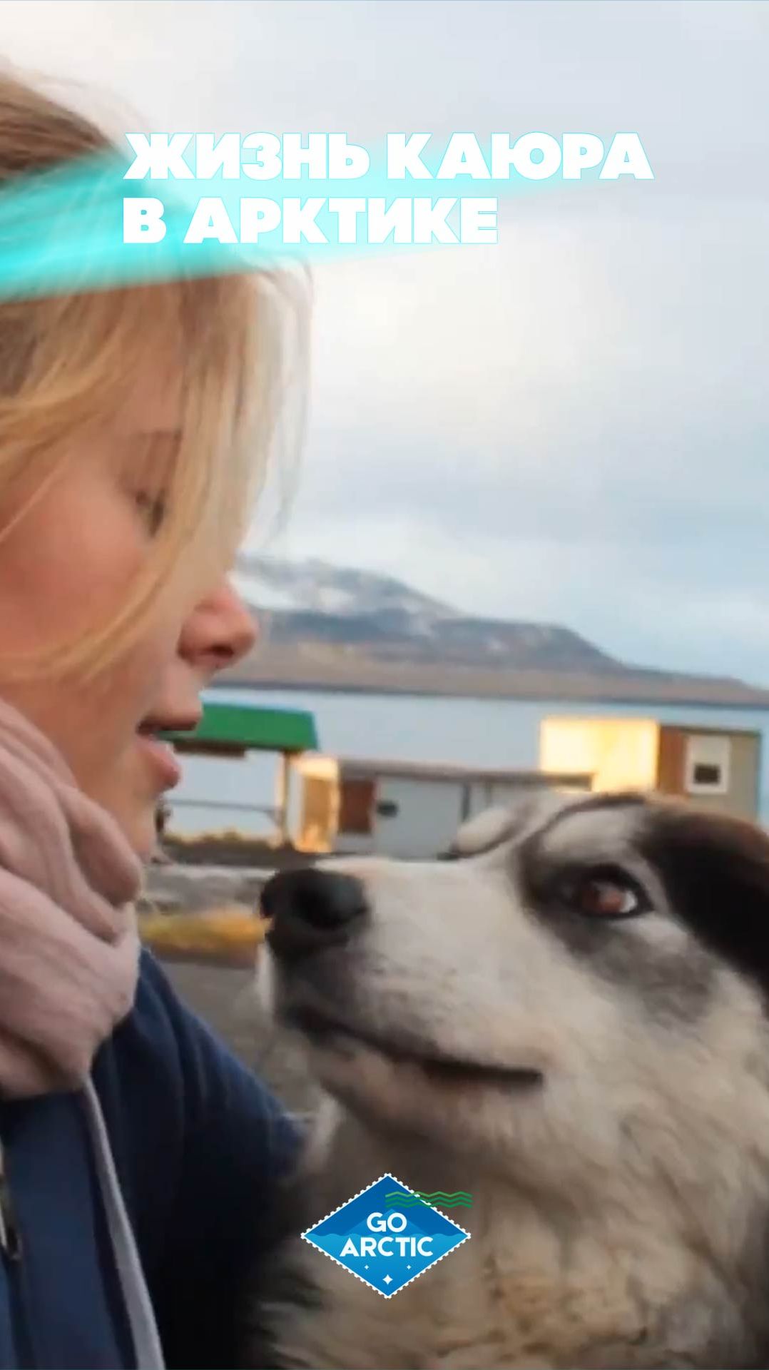 Жизнь каюра в Арктике
