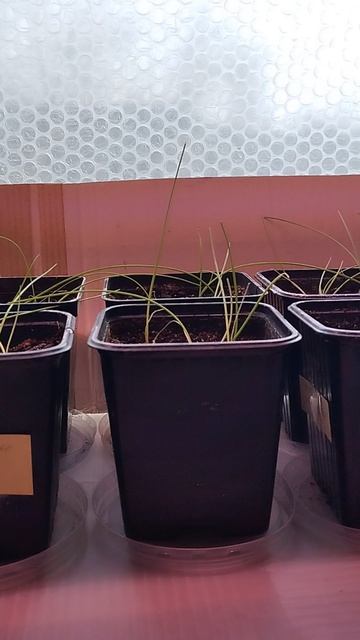 C1fd0aa87a44ad8ceec29be9c186c137