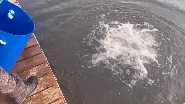 Copy_E2432FE0-E89F-43DF-85A4-723D7B33DCF9