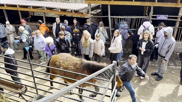 Поездка в Пятигорск (день третий) Кисловодск, медовые водопады