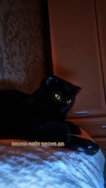 Весна идёт, весне дорогу