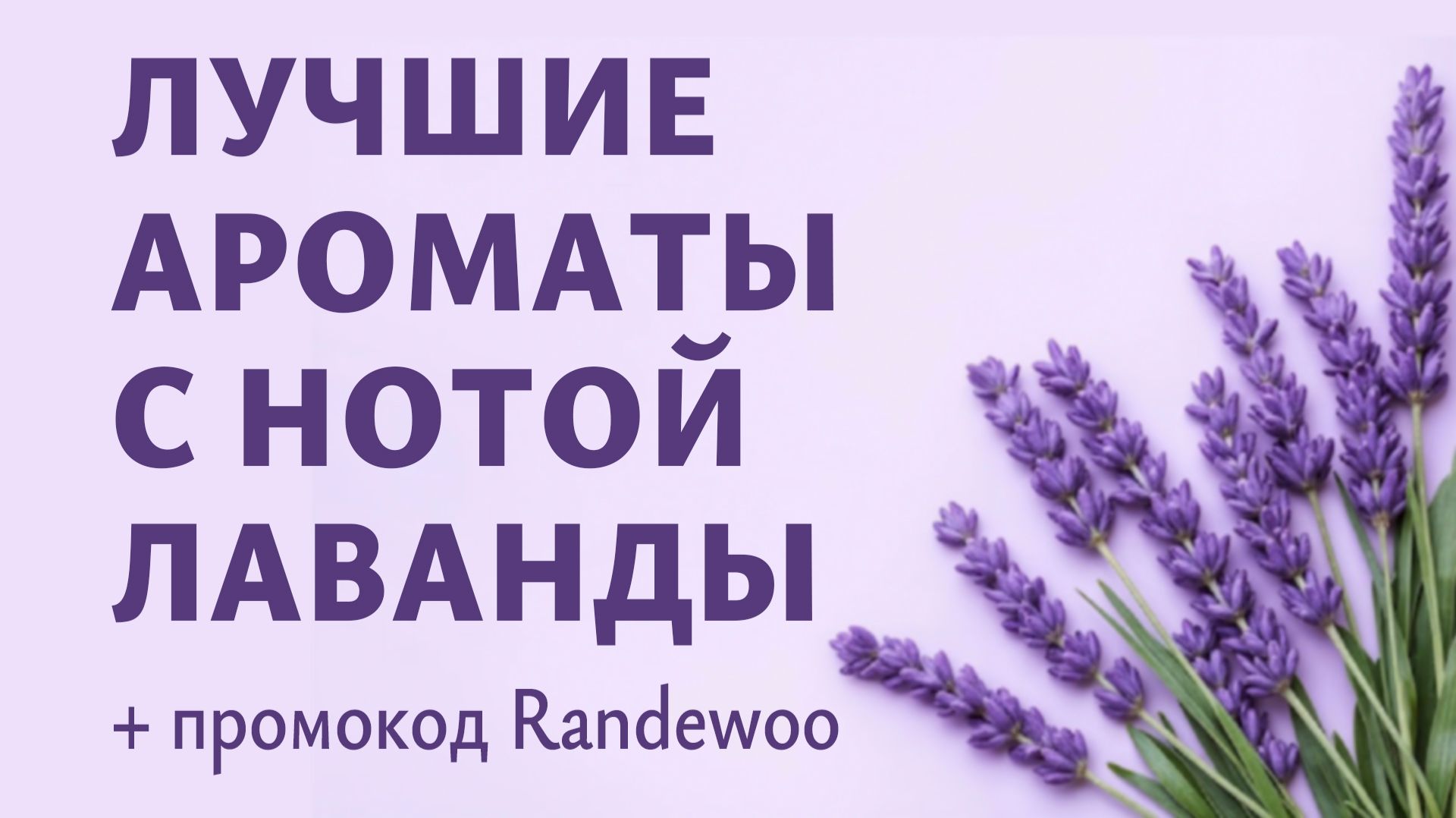 01a8884025ce00a49d6c23b144eef440