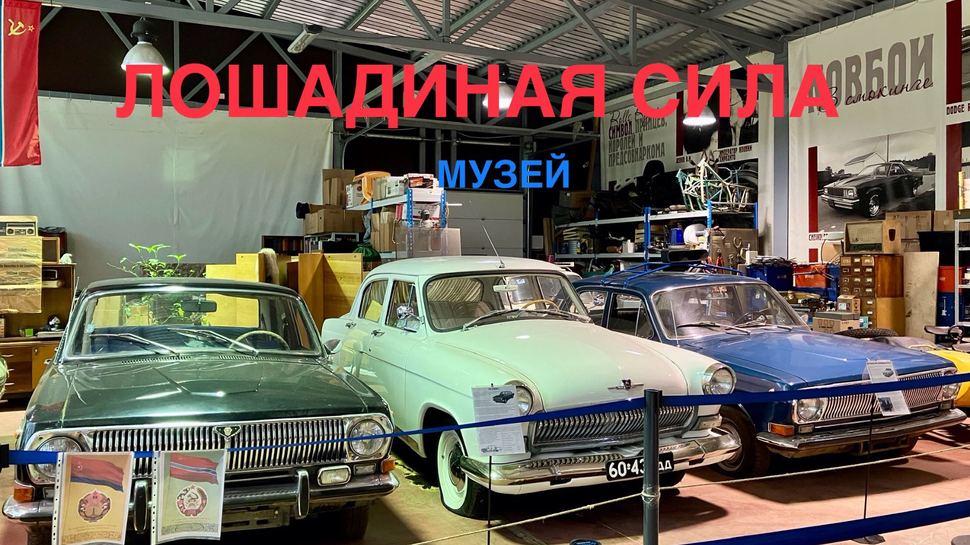 Музей Лошадиная сила, город Зеленогорск