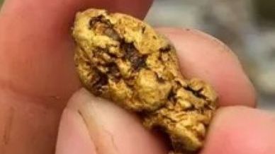 Отмыл в ручье Золотой самородок!