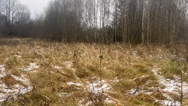 д. Исавицы 50:18:0080123:1133