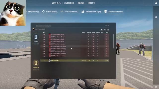 Играем в контру