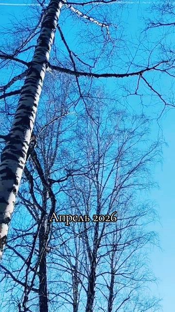Апрель 2026🌿
⠀
#апрель2026 #AlinaKlyukva #весна2026 #кареглазаяблондинка