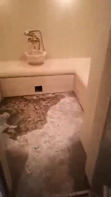 7978d801ba4090e9a8e30a54911d506a