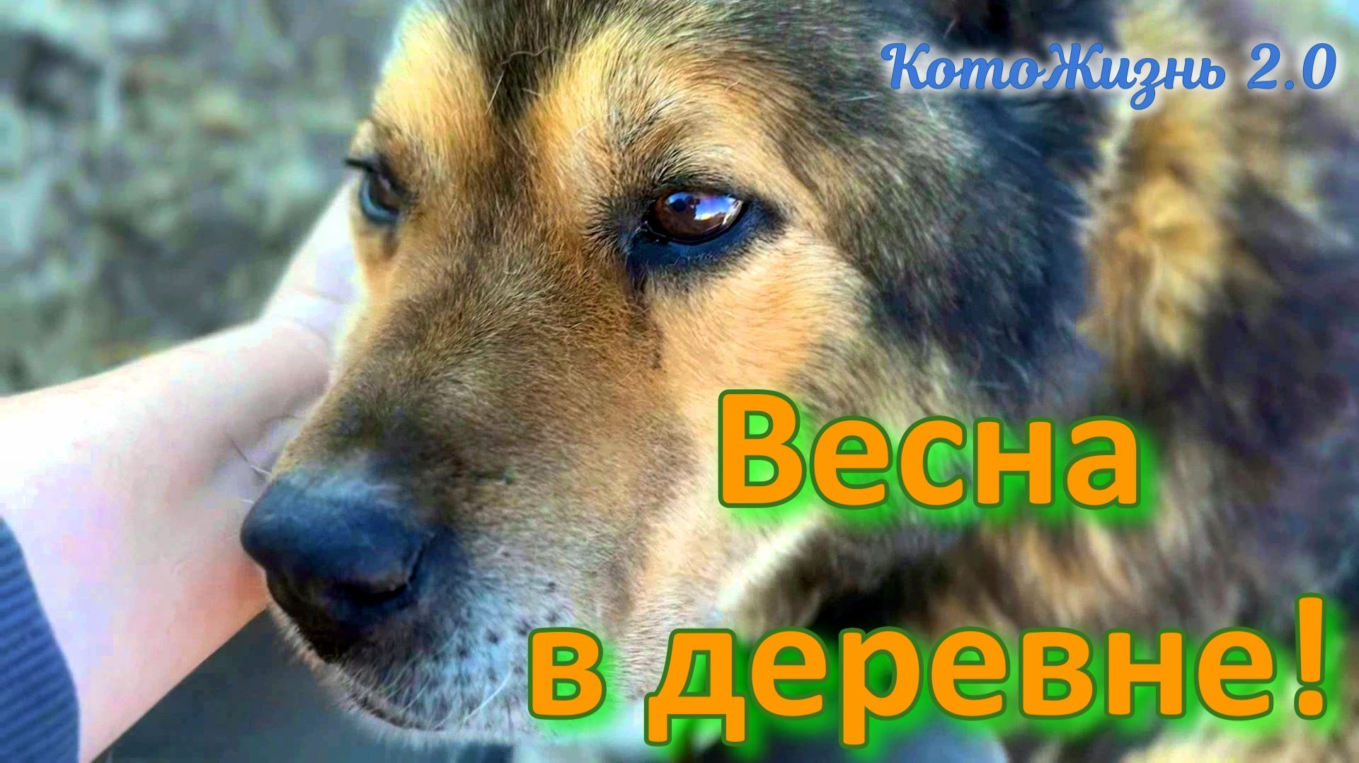 Весна в деревне!