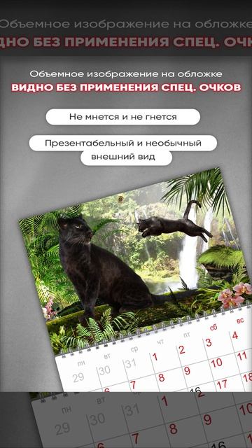 анимация под карточку редактируемая