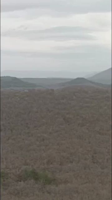 InShot_20260330_075651089 ГОРА БЕШЕКТАУ