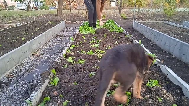 Feb6fcbe841b4a7479395c0e10ffdc5f