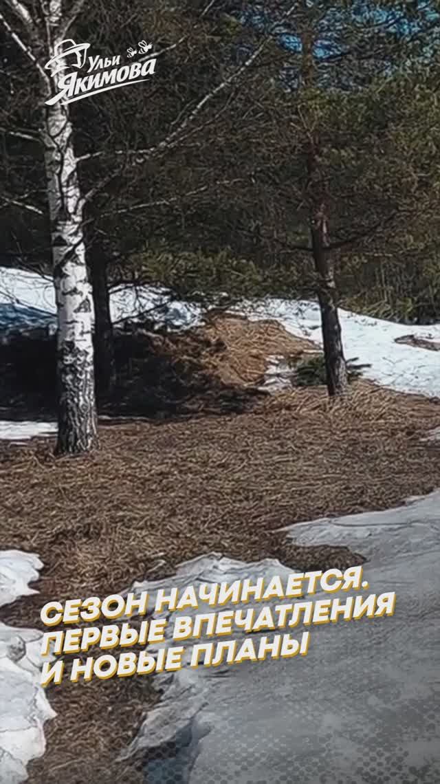 Пасека просыпается после зимы