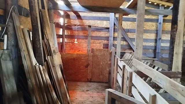 КАК Я СОДЕРЖУ СВОИХ ТЕЛЯТ