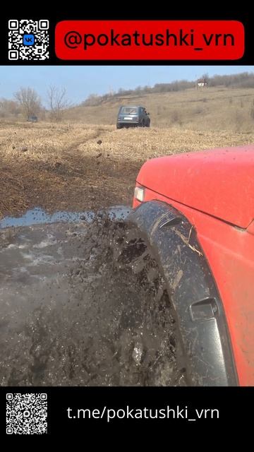 7799937c1fd9753d2a68ad3b969823f9