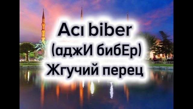 Как правильно произнести фрукты на турецком языке 🇹🇷💙 поговорим на турецком языке‼️ учим турецкий
