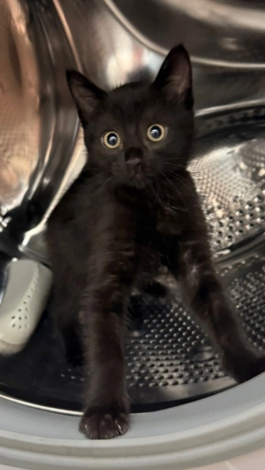 Добрый вечер