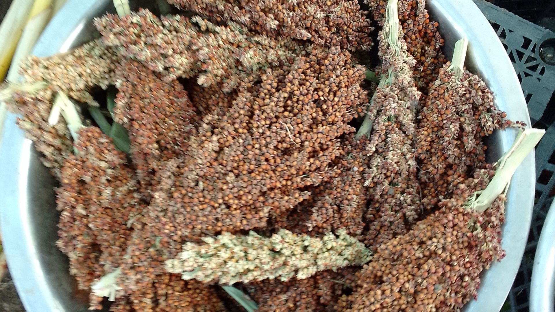 О чем мой канал