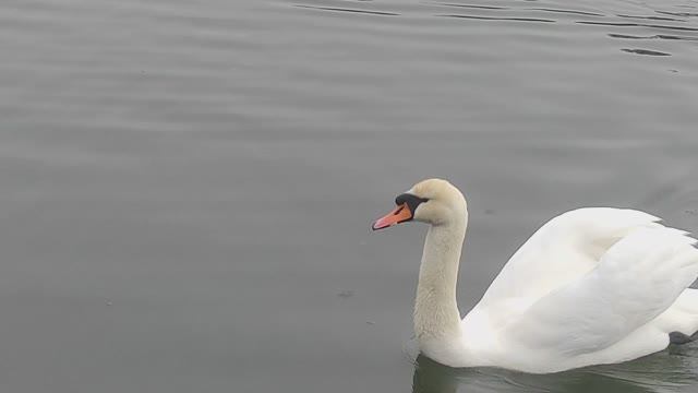 ОТ ОЗЕРА К МОРЮ