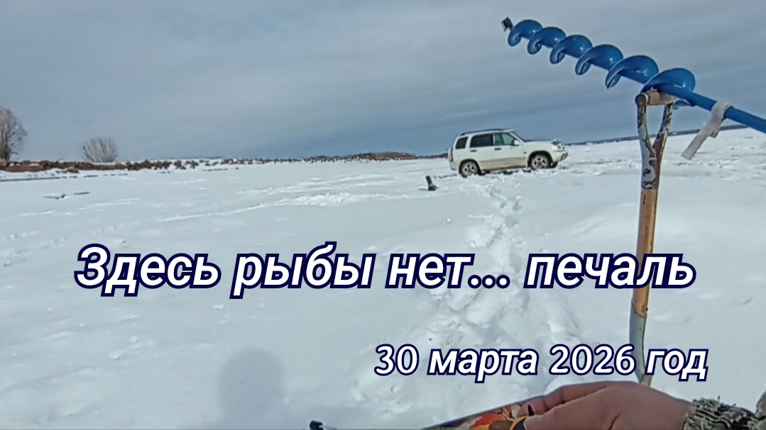 Здесь рыбы нет...печаль.