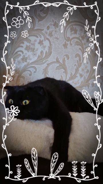 Выгорание 😁