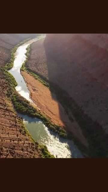 #орлиныйполет #авиация #птицывполете #беспилотник #приключения #экстремальныйспорт