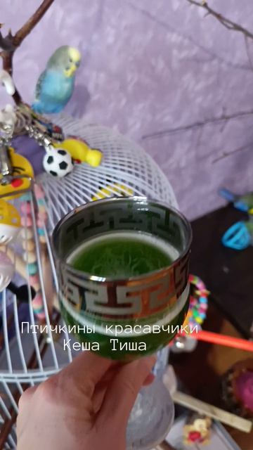 Птички в недоумении