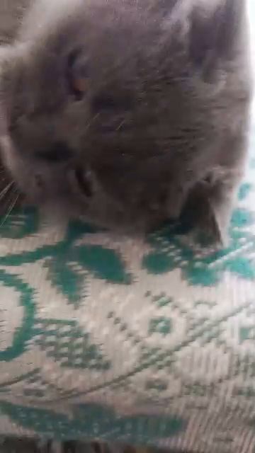 как я годовую в лагере