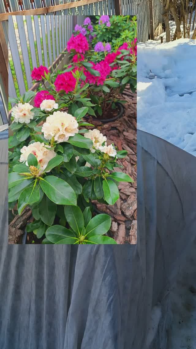 9229dd6f0a5d7f02b30cf0a2b79aa145