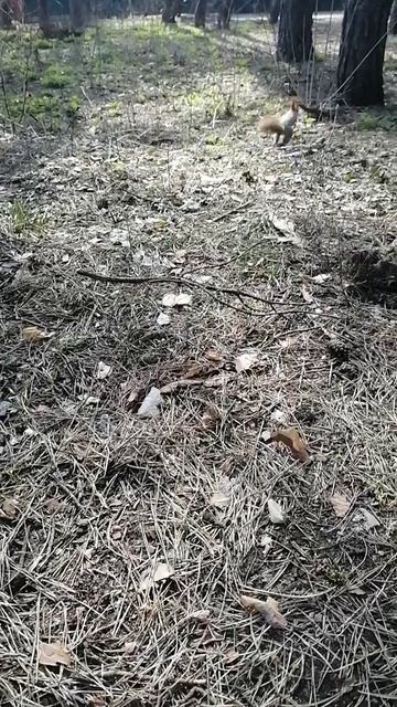 Как прятать заначку